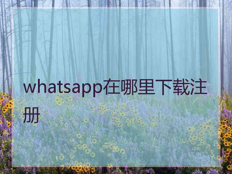 whatsapp在哪里下载注册