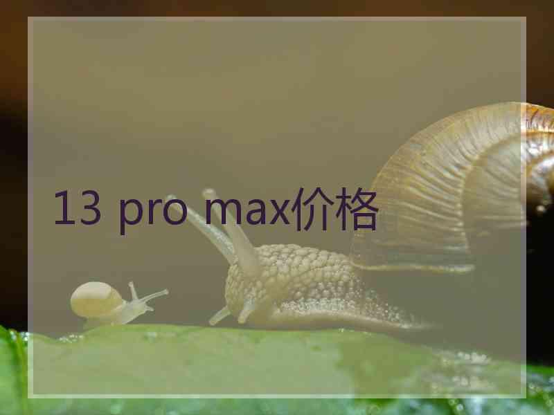 13 pro max价格