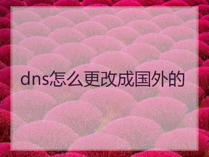 dns怎么更改成国外的