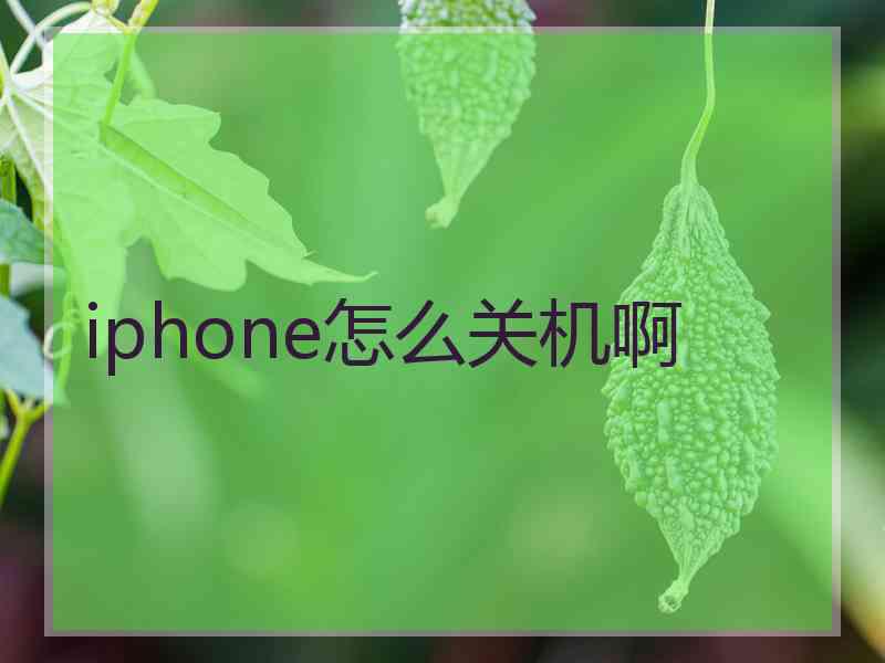 iphone怎么关机啊