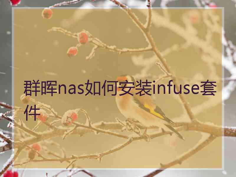 群晖nas如何安装infuse套件