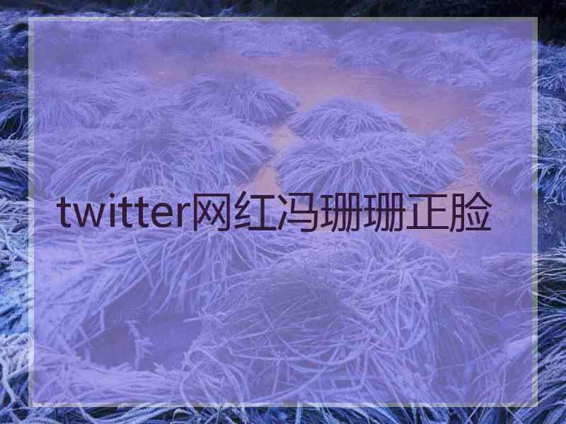 twitter网红冯珊珊正脸