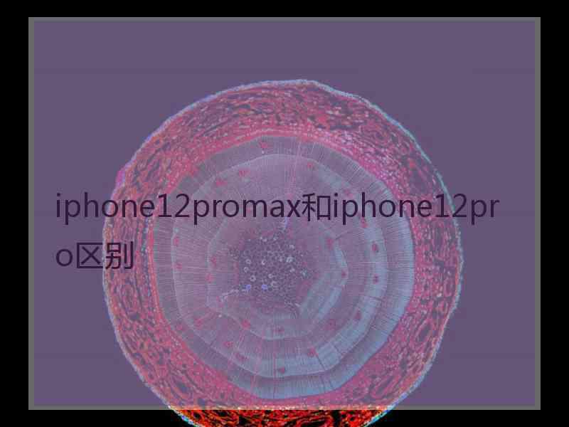 iphone12promax和iphone12pro区别