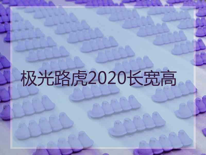 极光路虎2020长宽高