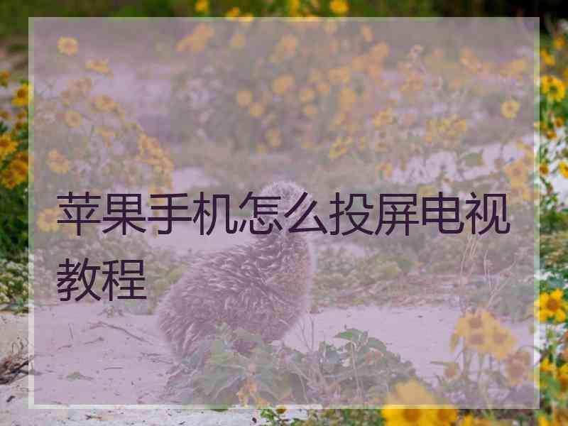 苹果手机怎么投屏电视教程