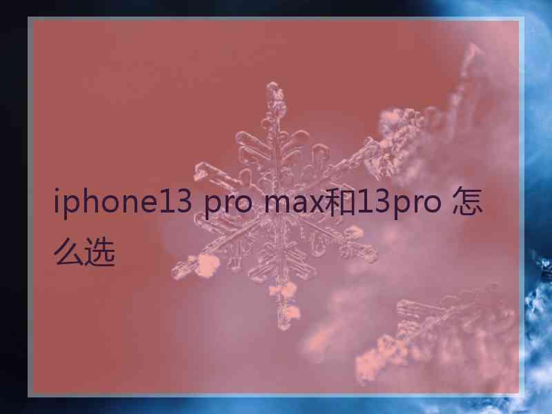 iphone13 pro max和13pro 怎么选