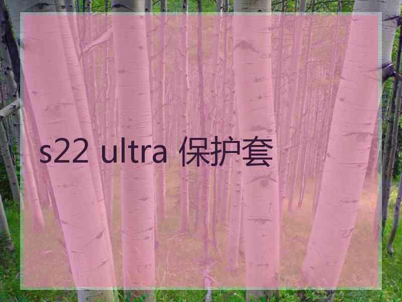 s22 ultra 保护套