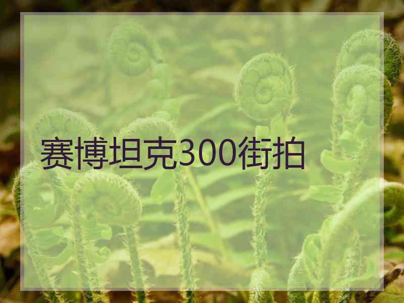 赛博坦克300街拍