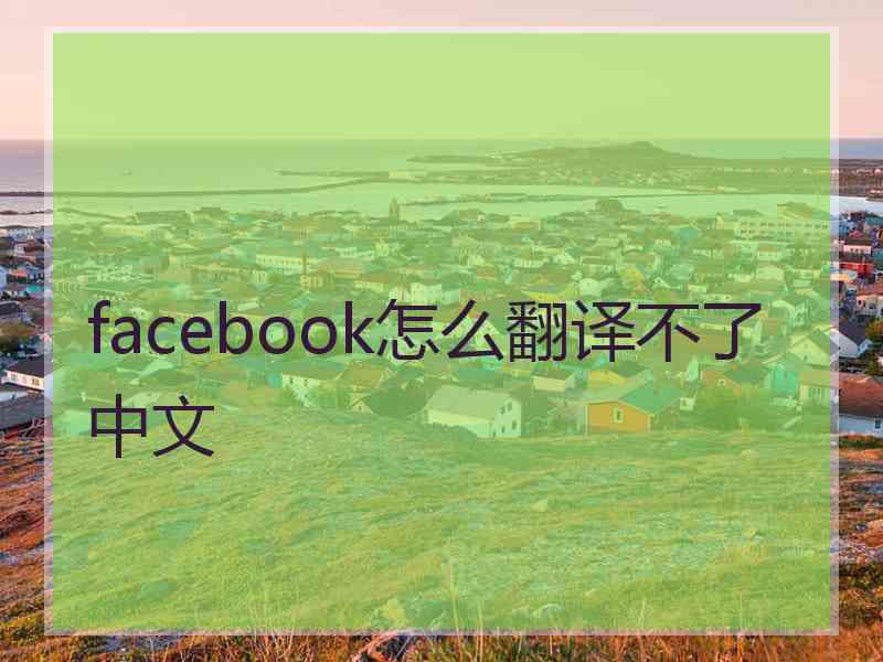 facebook怎么翻译不了中文