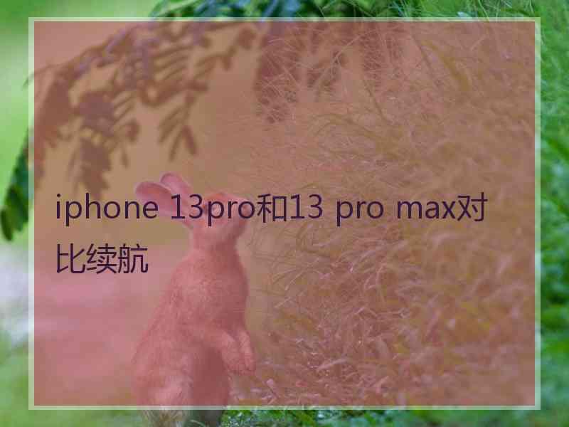 iphone 13pro和13 pro max对比续航