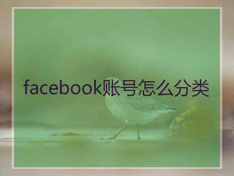 facebook账号怎么分类