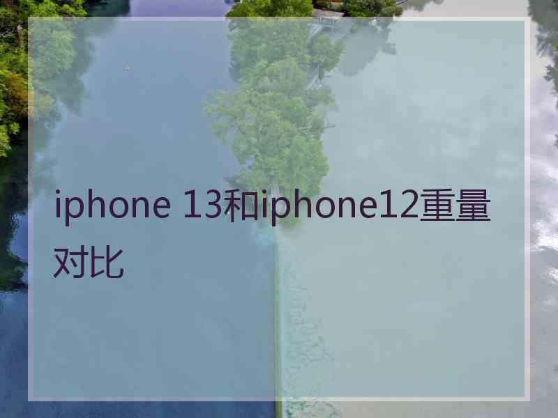 iphone 13和iphone12重量对比