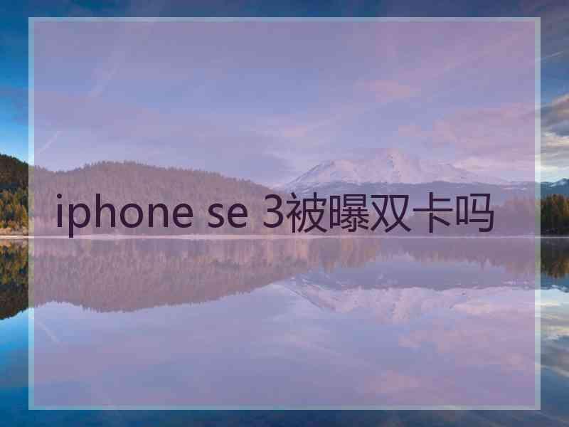 iphone se 3被曝双卡吗