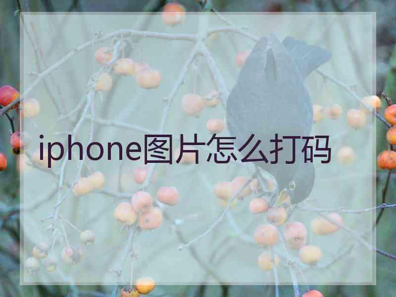 iphone图片怎么打码