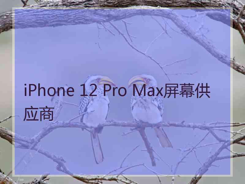 iPhone 12 Pro Max屏幕供应商