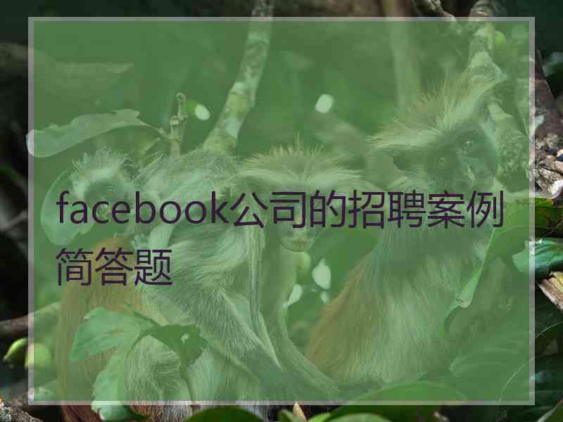 facebook公司的招聘案例简答题