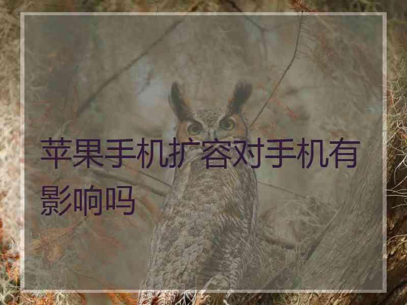 苹果手机扩容对手机有影响吗