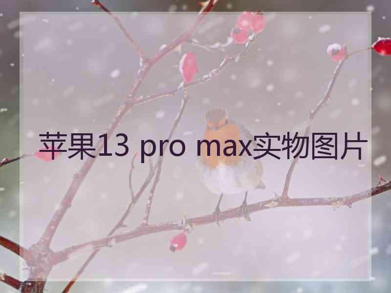 苹果13 pro max实物图片