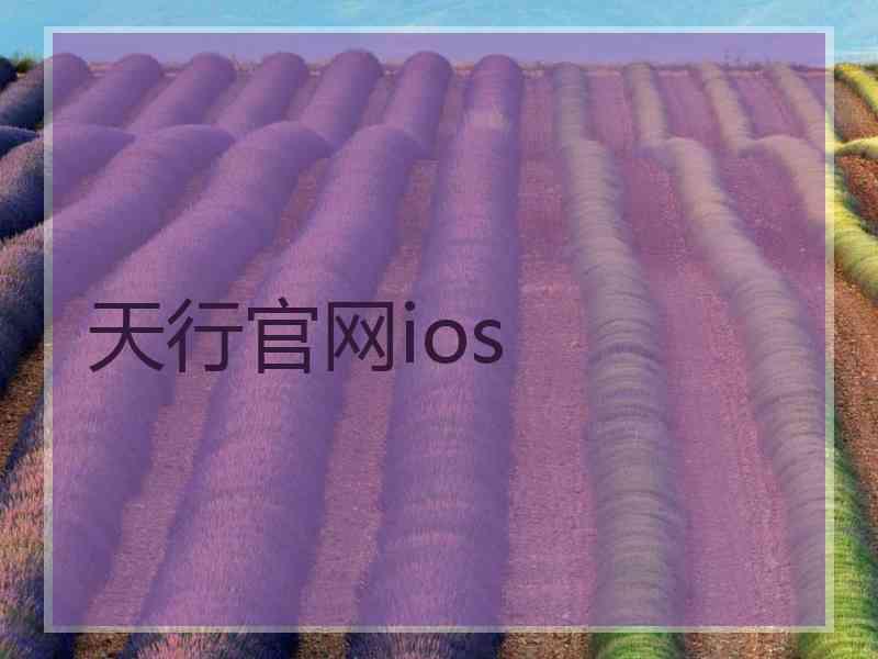 天行官网ios