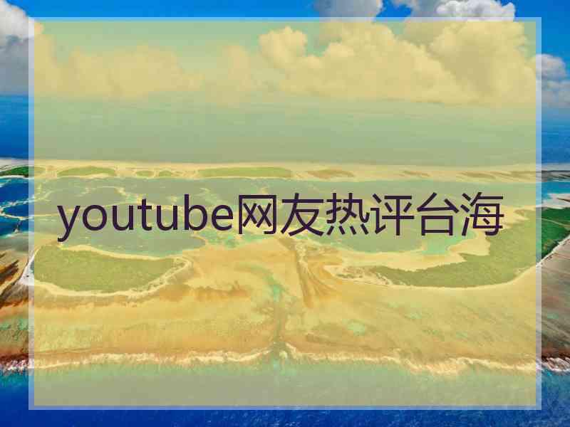 youtube网友热评台海