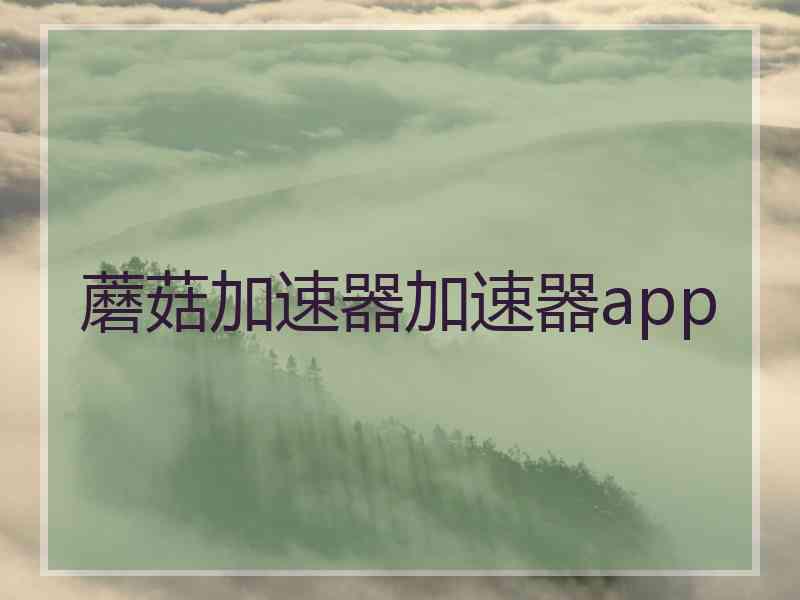 蘑菇加速器加速器app