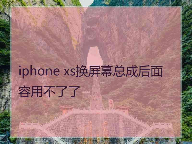 iphone xs换屏幕总成后面容用不了了