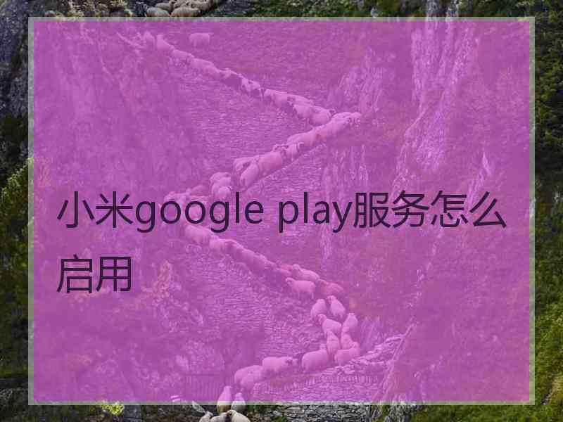 小米google play服务怎么启用