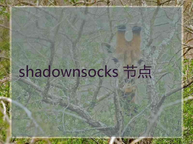 shadownsocks 节点