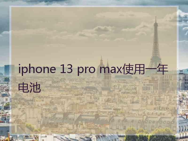 iphone 13 pro max使用一年电池