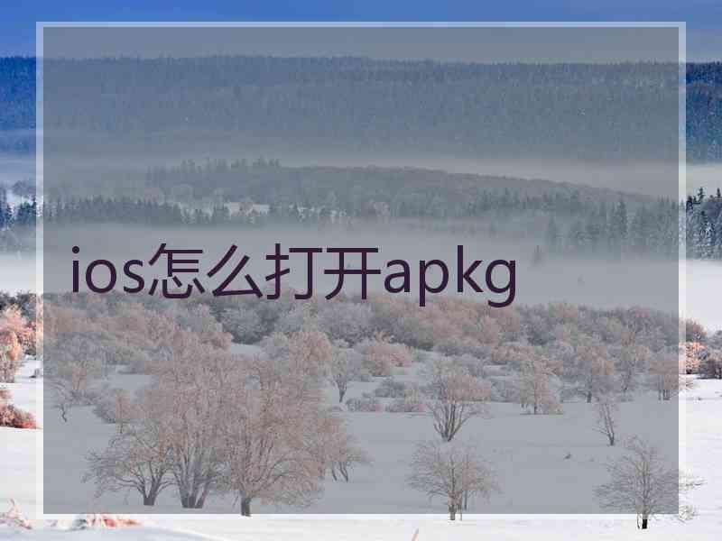 ios怎么打开apkg