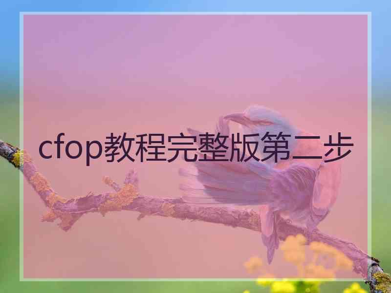 cfop教程完整版第二步