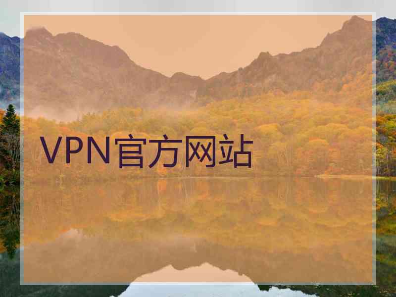 VPN官方网站