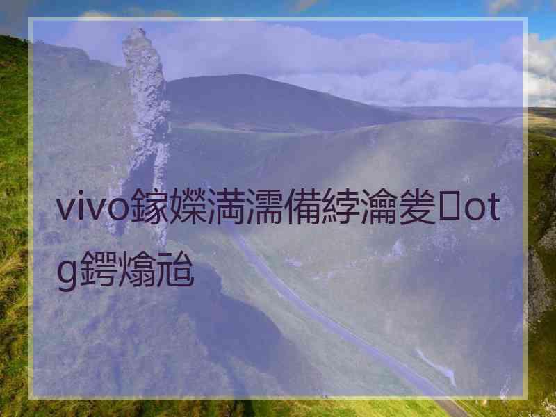 vivo鎵嬫満濡備綍瀹夎otg鍔熻兘