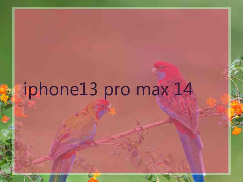 iphone13 pro max 14