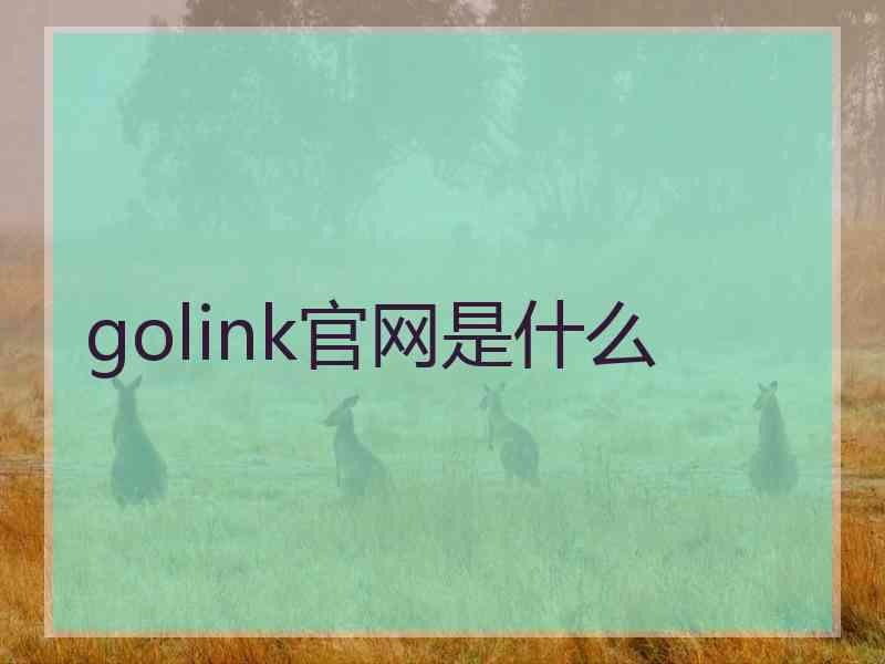 golink官网是什么