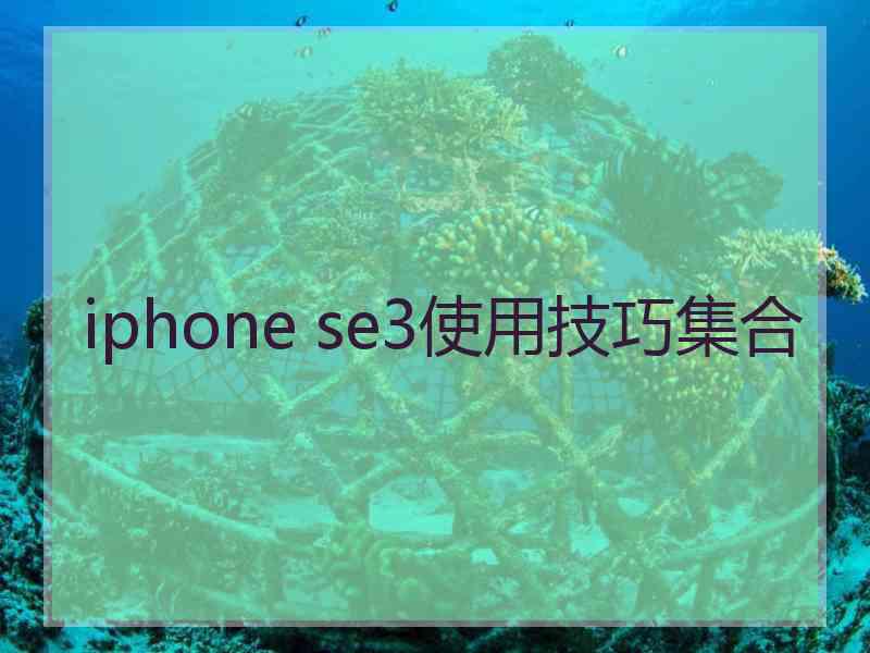 iphone se3使用技巧集合