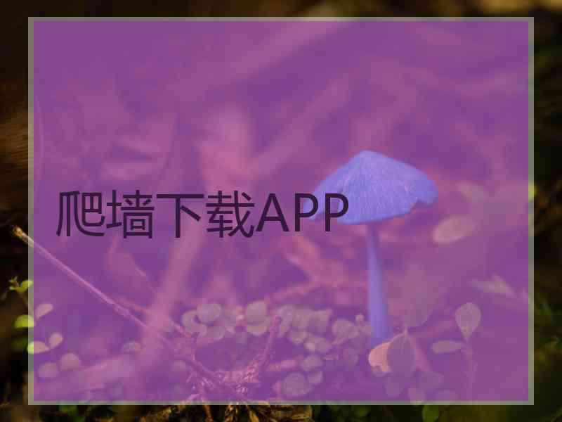 爬墙下载APP