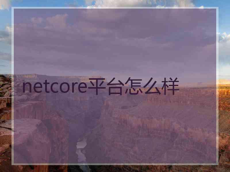 netcore平台怎么样