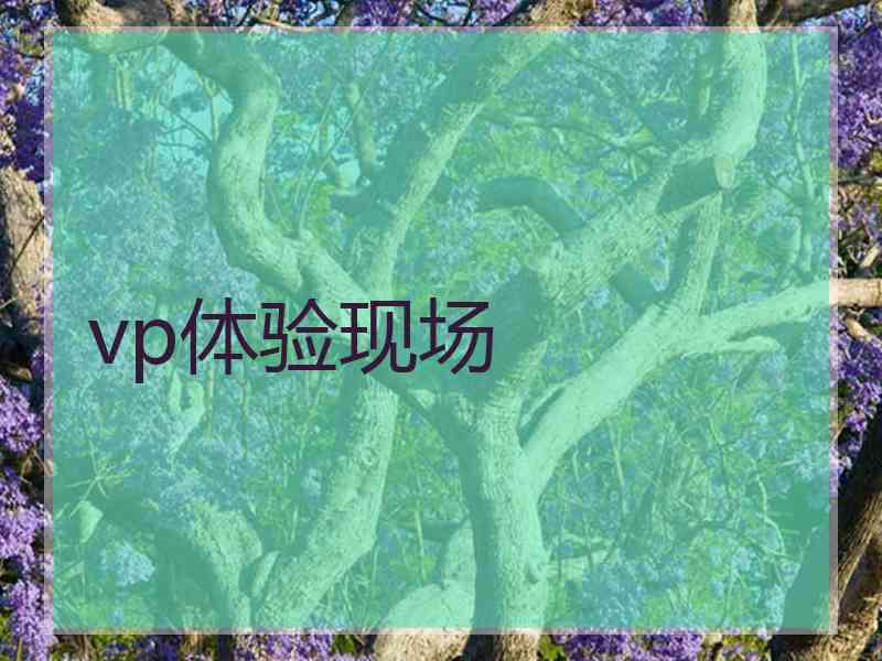 vp体验现场