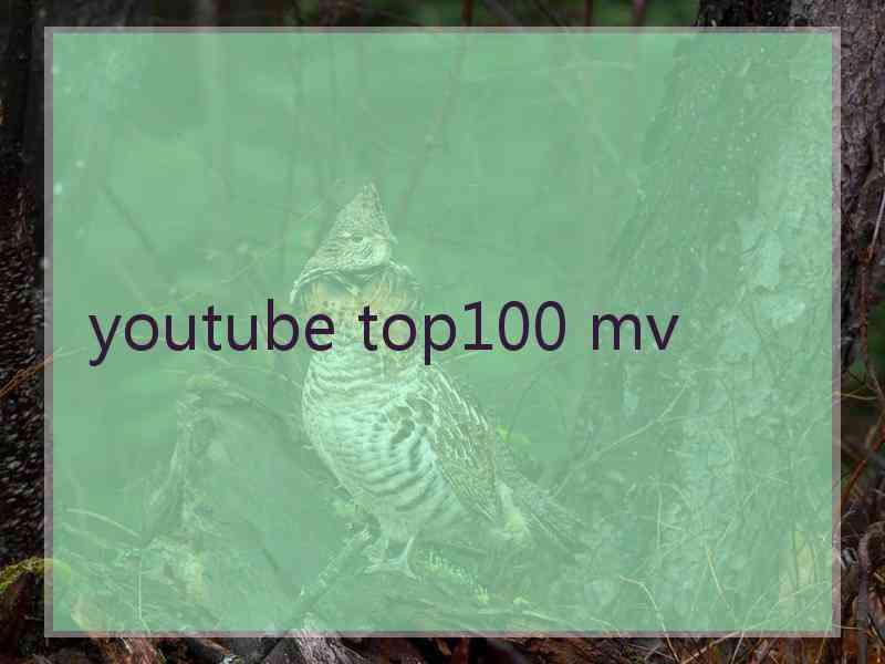 youtube top100 mv