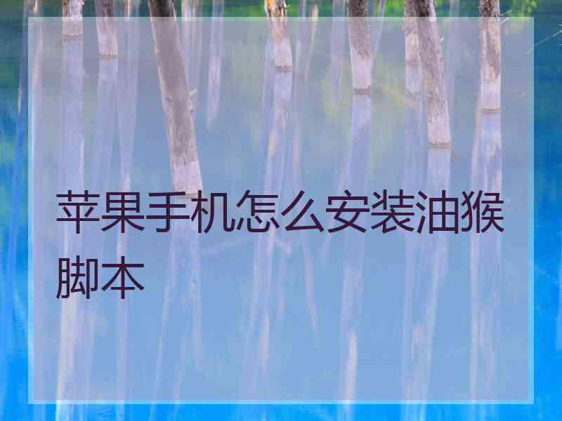 苹果手机怎么安装油猴脚本