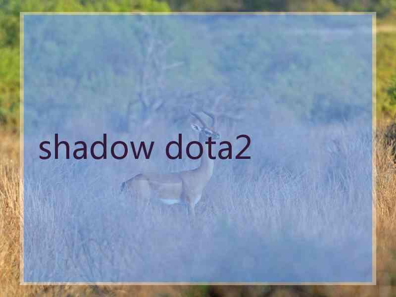 shadow dota2