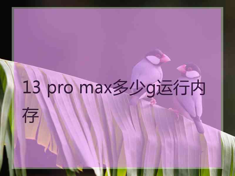 13 pro max多少g运行内存