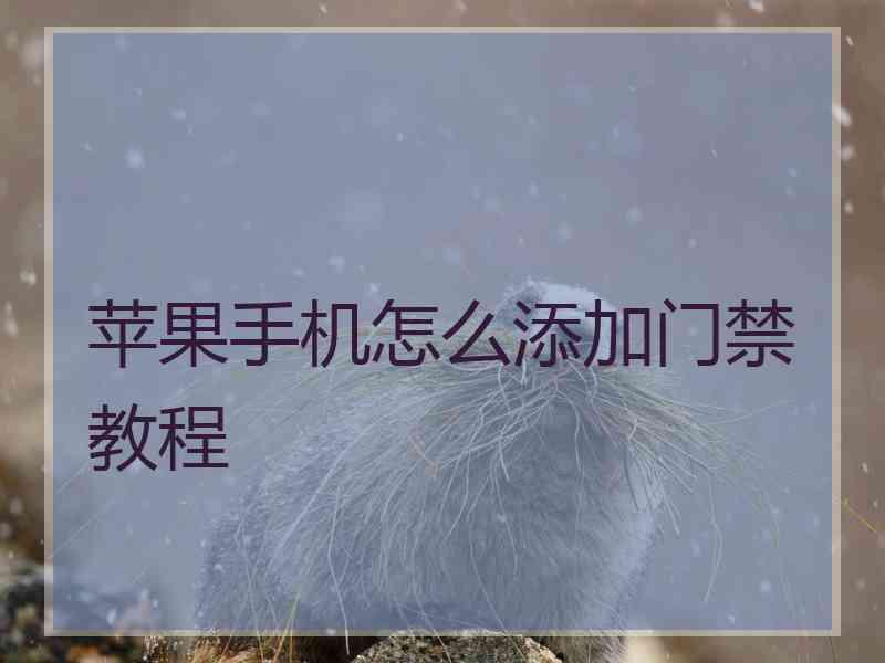 苹果手机怎么添加门禁教程