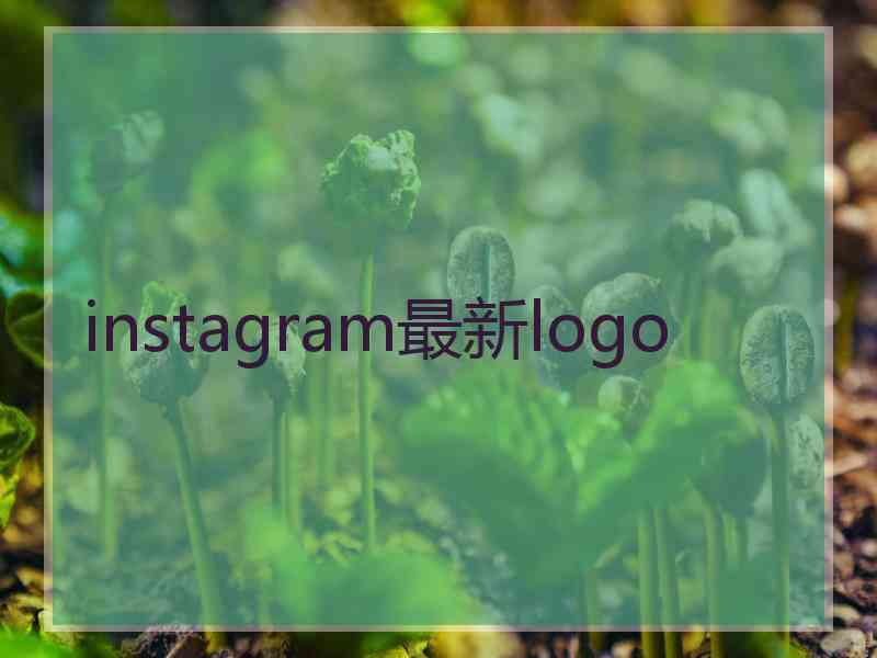 instagram最新logo