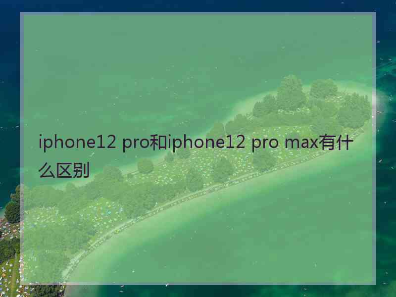 iphone12 pro和iphone12 pro max有什么区别