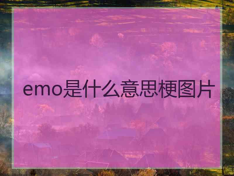 emo是什么意思梗图片