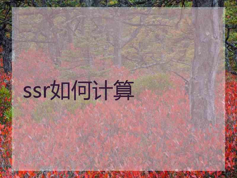 ssr如何计算