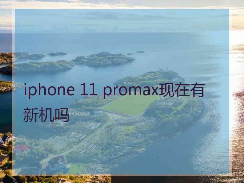 iphone 11 promax现在有新机吗