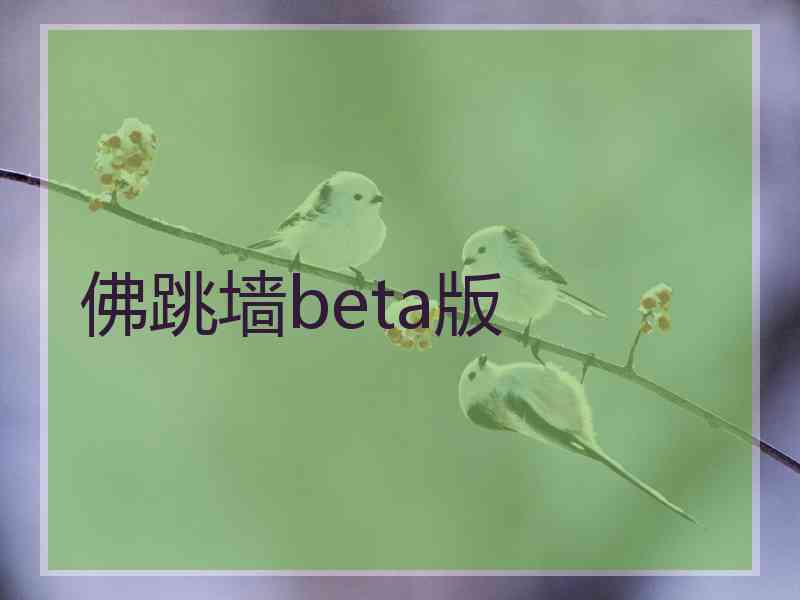 佛跳墙beta版